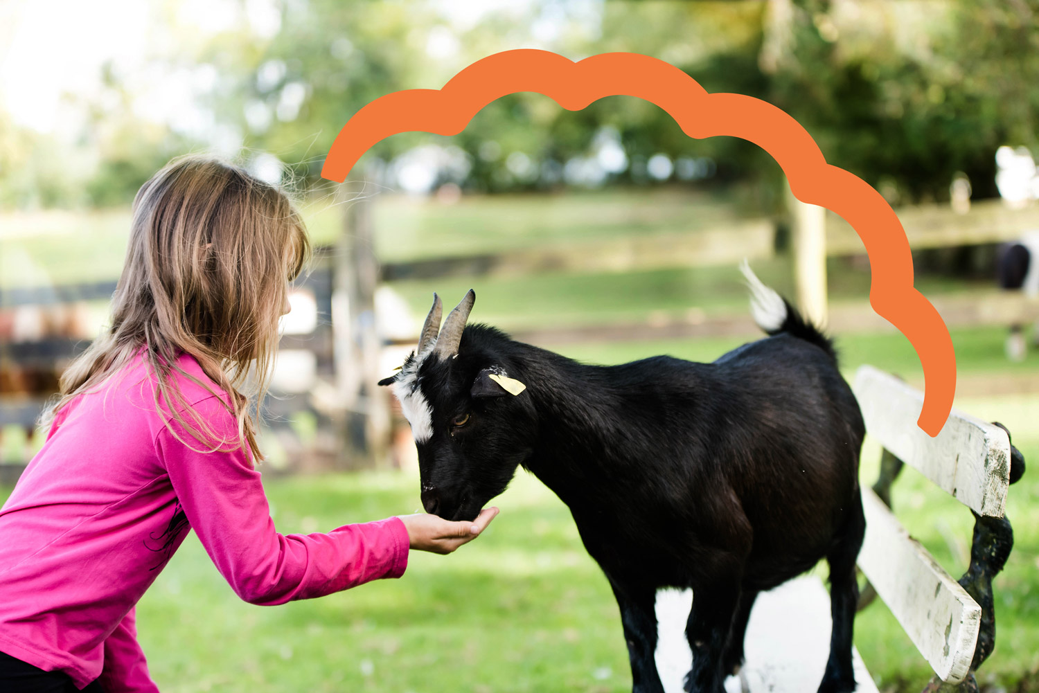 L'essentiel de l'agrotouriste