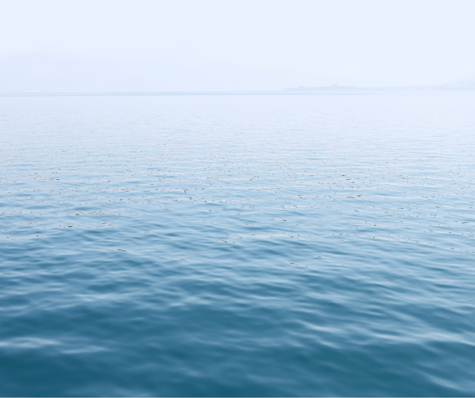 Comment manger plus de produits du Saint-Laurent?